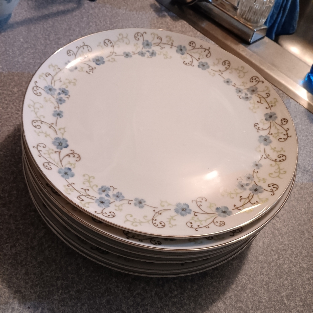 Fine china dinnerware